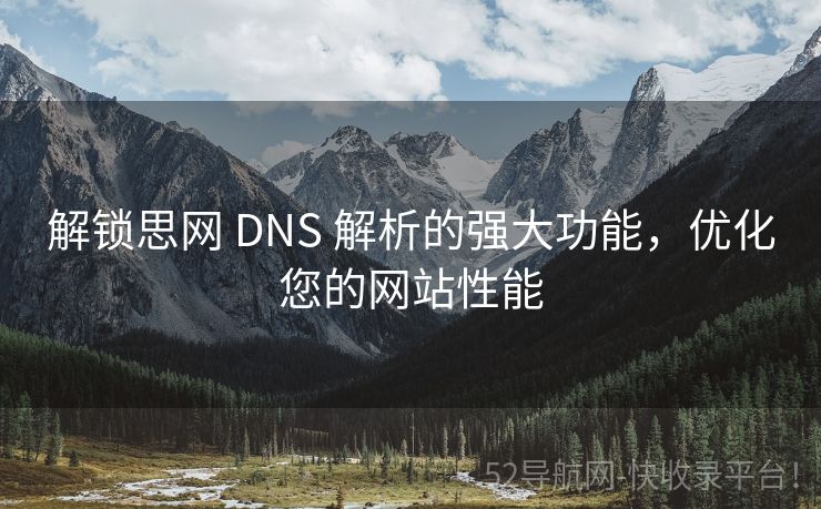 解锁思网 DNS 解析的强大功能，优化您的网站性能