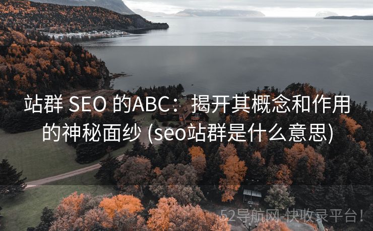 站群 SEO 的ABC：揭开其概念和作用的神秘面纱 (seo站群是什么意思)
