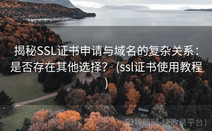 揭秘SSL证书申请与域名的复杂关系：是否存在其他选择？ (ssl证书使用教程)