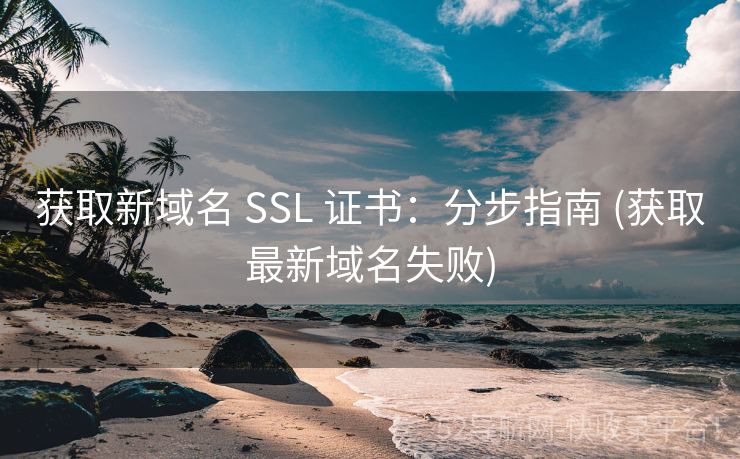 获取新域名 SSL 证书：分步指南 (获取最新域名失败)
