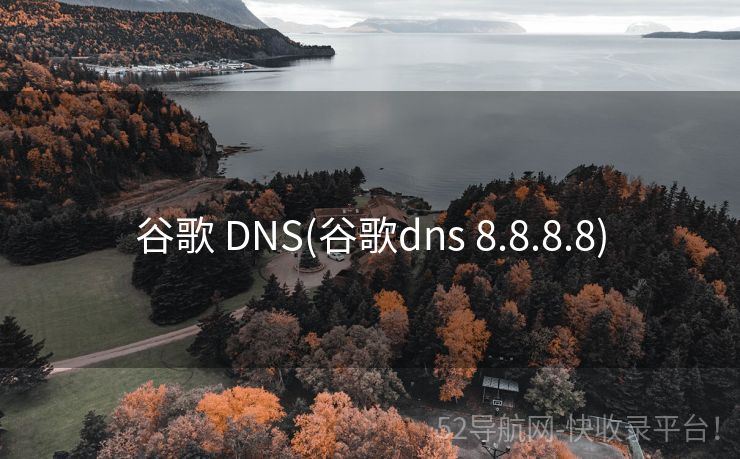 谷歌 DNS(谷歌dns 8.8.8.8)