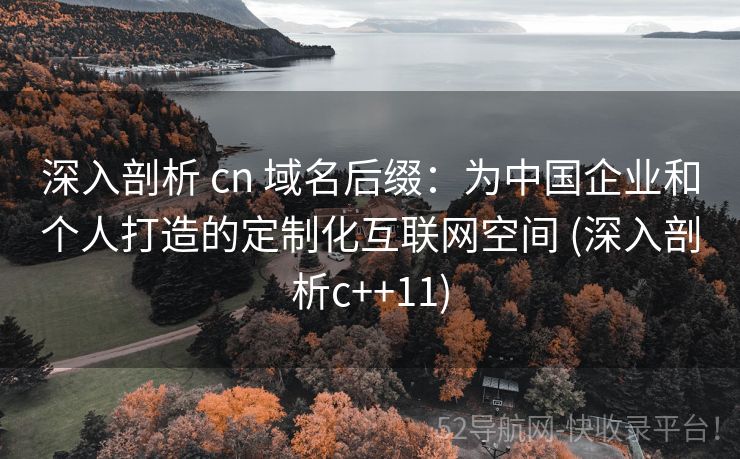 深入剖析 cn 域名后缀：为中国企业和个人打造的定制化互联网空间 (深入剖析c++11)