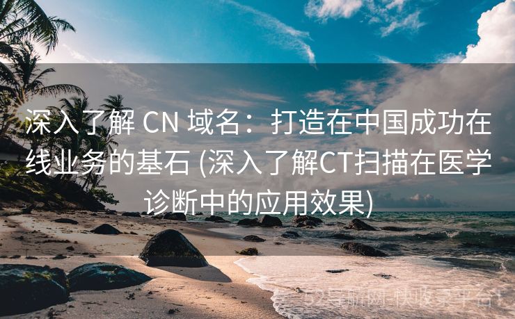 深入了解 CN 域名：打造在中国成功在线业务的基石 (深入了解CT扫描在医学诊断中的应用效果)