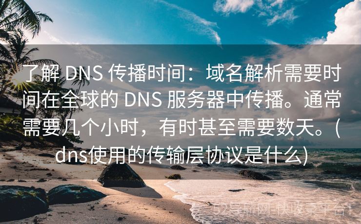 了解 DNS 传播时间：域名解析需要时间在全球的 DNS 服务器中传播。通常需要几个小时，有时甚至需要数天。(dns使用的传输层协议是什么)