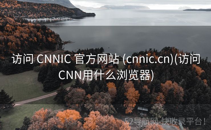 访问 CNNIC 官方网站 (cnnic.cn)(访问CNN用什么浏览器)
