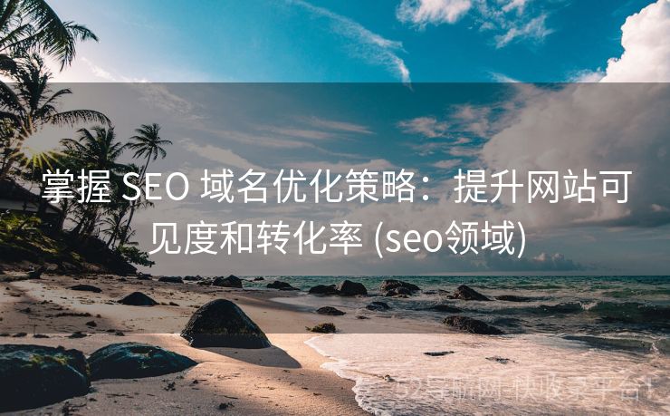 掌握 SEO 域名优化策略：提升网站可见度和转化率 (seo领域)
