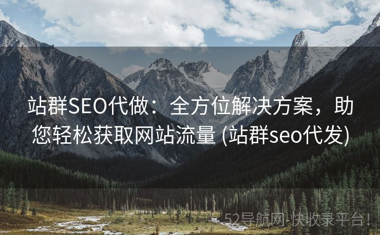 站群SEO代做：全方位解决方案，助您轻松获取网站流量 (站群seo代发)